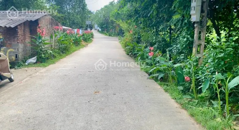 Bán 3.000M2 Tại Vân Hoà, Ba Vì. Vị Trí Xây Nghỉ Dưỡng Lý Tưởng, View Cánh Đồng