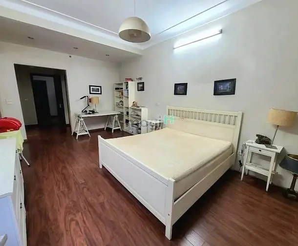 6017425 ảnh đại diện 1