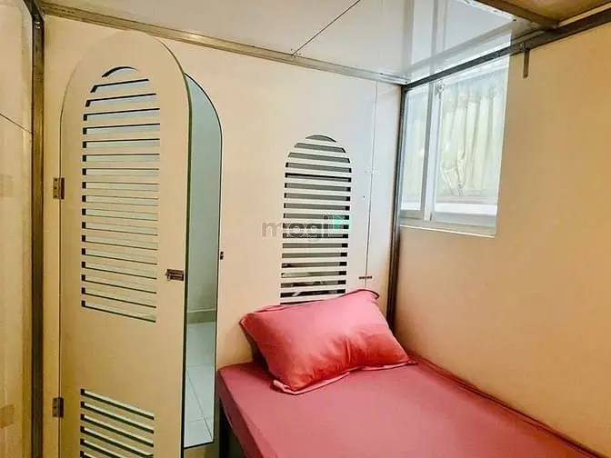 6017017 ảnh đại diện 1