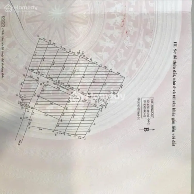 6017606 ảnh đại diện 1