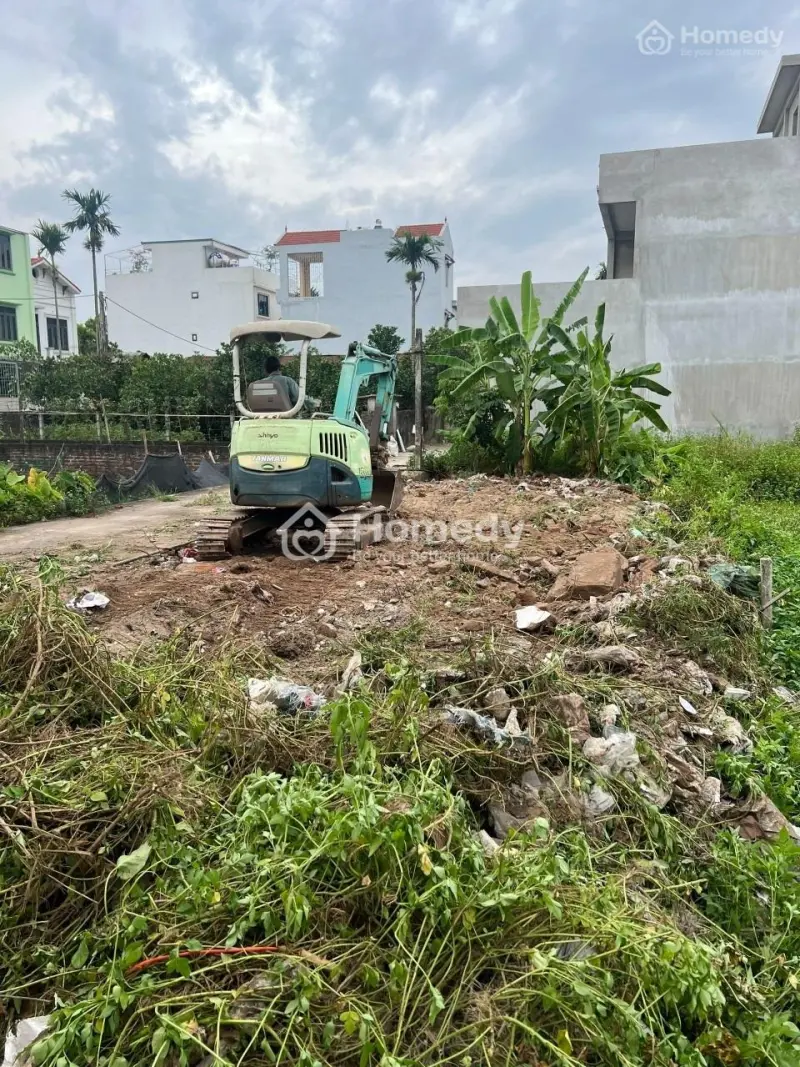 6017381 ảnh đại diện 1