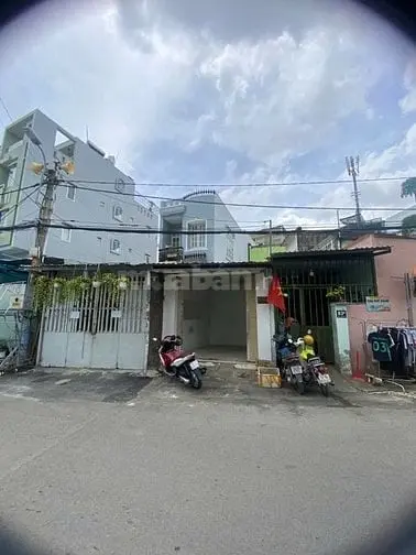 6017050 ảnh đại diện 1