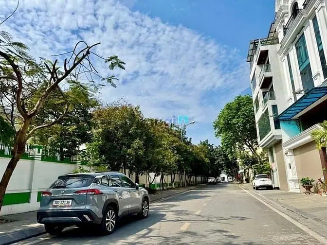 6017927 ảnh đại diện 1
