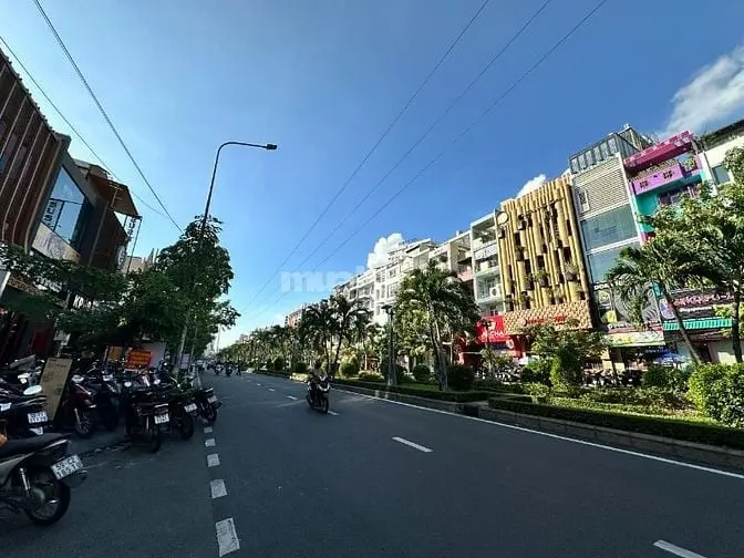 6017917 ảnh đại diện 1