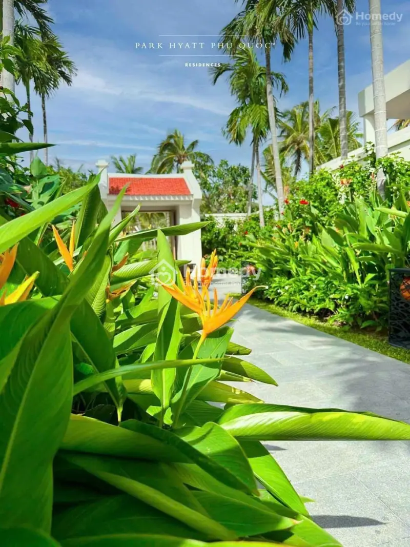 Dinh Thự Park Hyatt Phú Quốc, 140 Tỷ, 1500M2, 3Pn, 4Wc