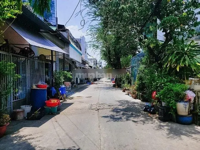 6017025 ảnh đại diện 1