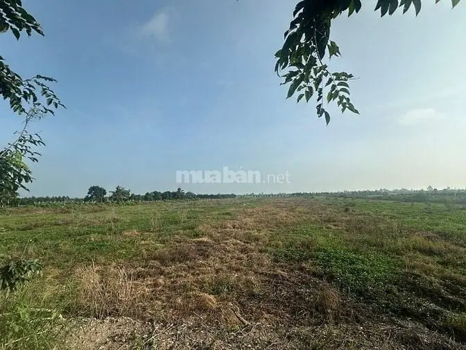 6017167 ảnh đại diện 1
