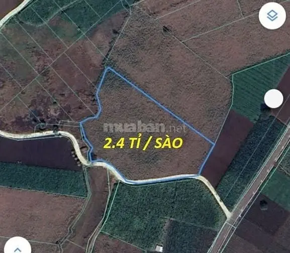 6017735 ảnh đại diện 1
