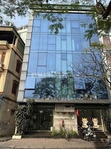 6017470 ảnh đại diện 1