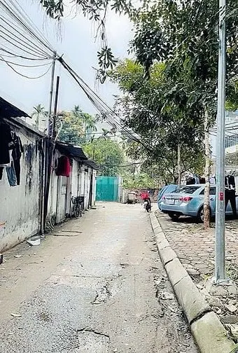6017684 ảnh đại diện 1