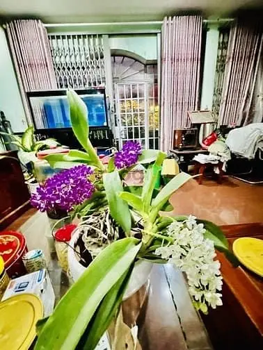Nhà Mặt Tiền Tạ Quang Bửu – Ngang Khủng 8M – Kinh Doanh Đa Ngành Nghề