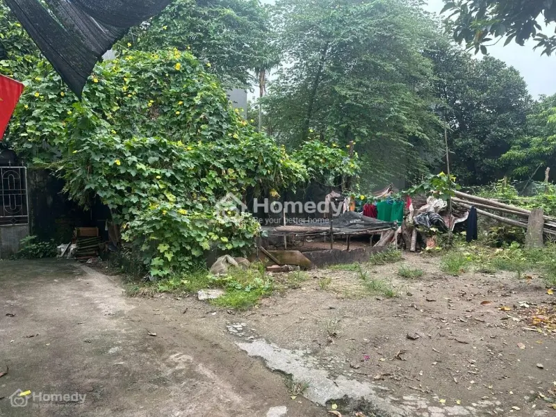 6017772 ảnh đại diện 1