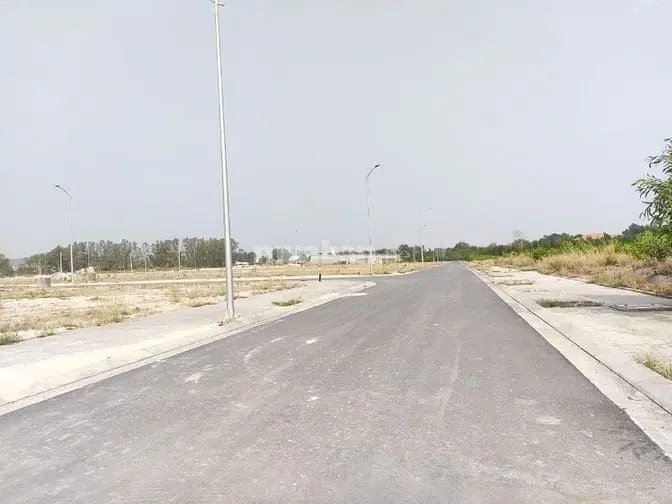 6017366 ảnh đại diện 1