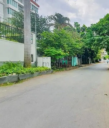 6017788 ảnh đại diện 1