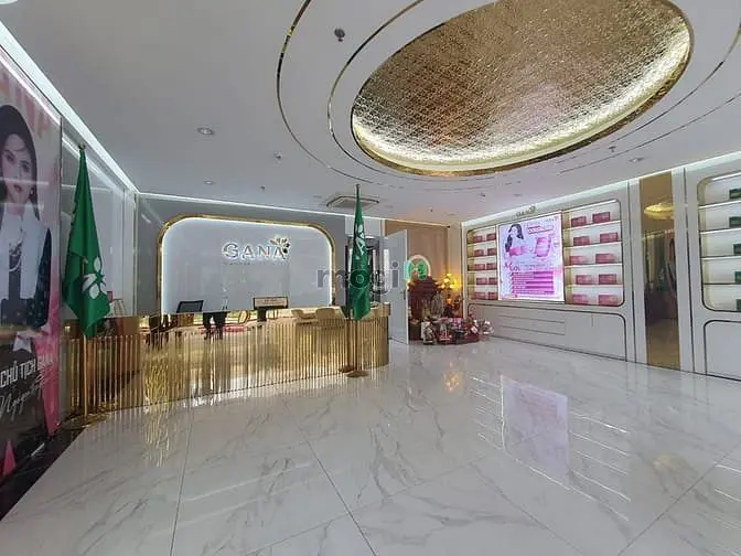 6016920 ảnh đại diện 1
