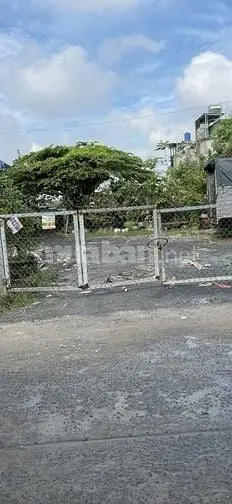 6017079 ảnh đại diện 1