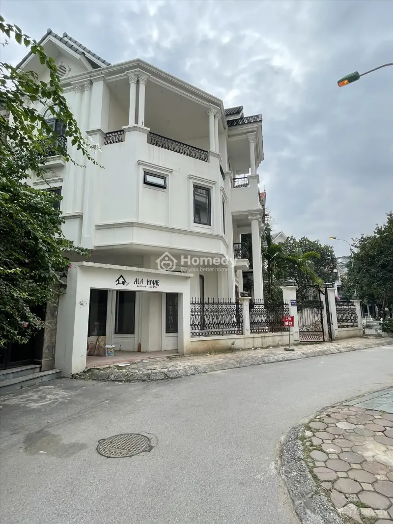 6017761 ảnh đại diện 1