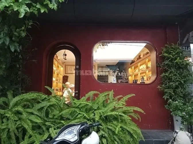 6017534 ảnh đại diện 1