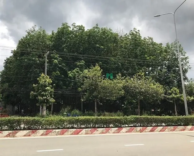 6017245 ảnh đại diện 1