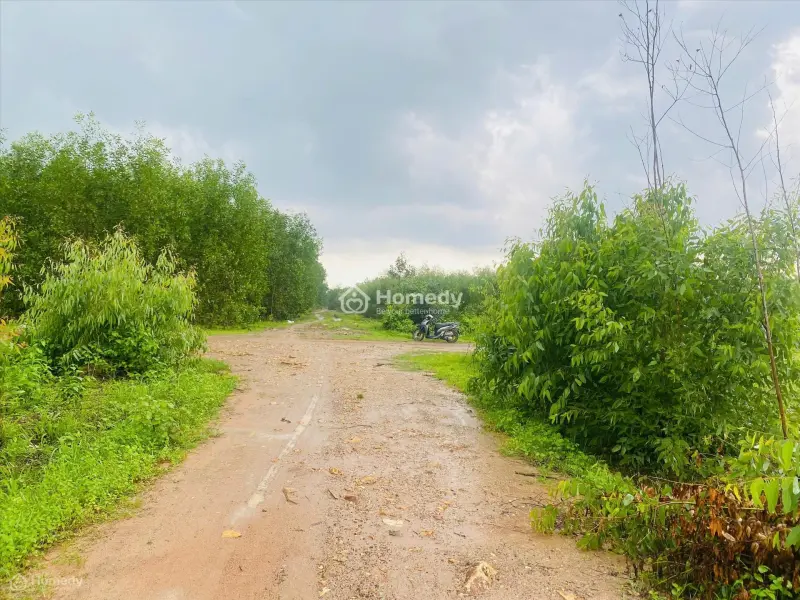 Bán 2557M2 Đất Tân Hà, Hàm Tân Giá Ngộp Chỉ 36Tr/M Ngang 2 Mặt Đường