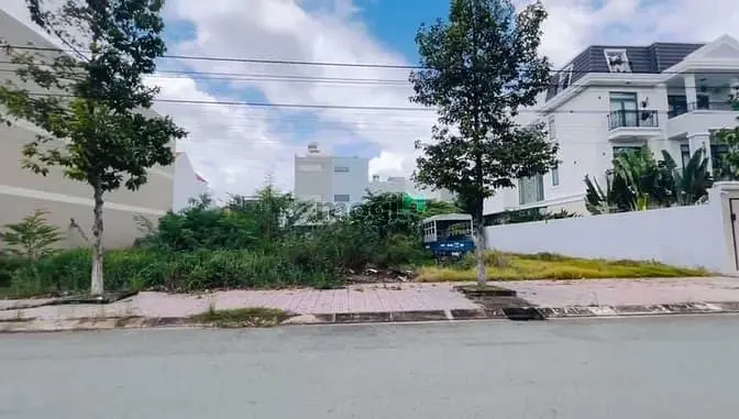 6017033 ảnh đại diện 1