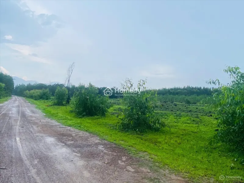 6017902 ảnh đại diện 1