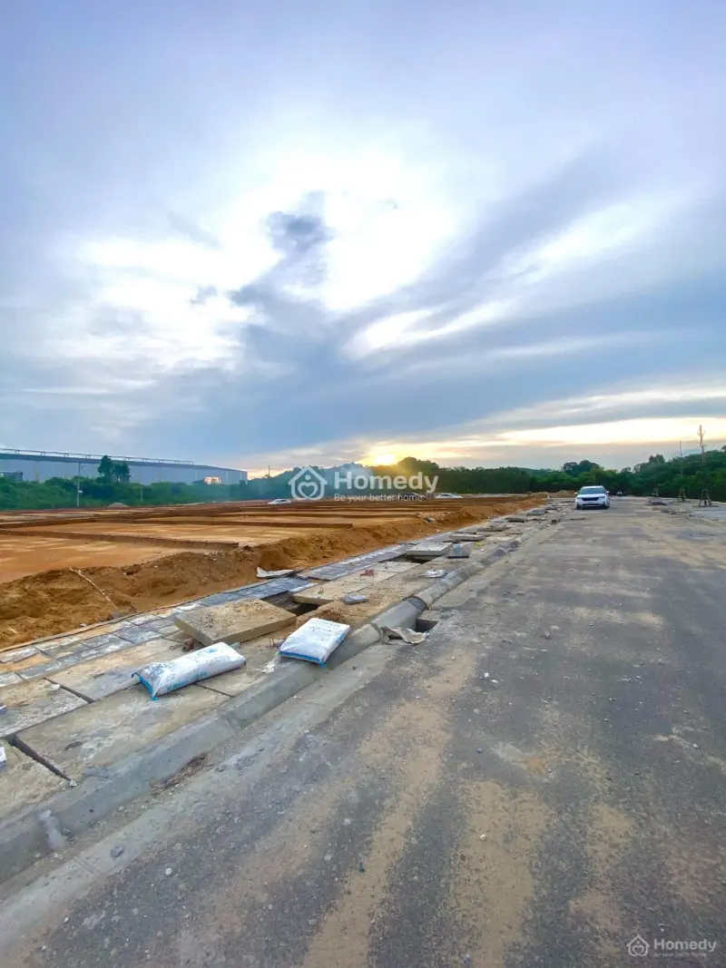 6017596 ảnh đại diện 1