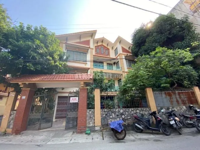 6017081 ảnh đại diện 1