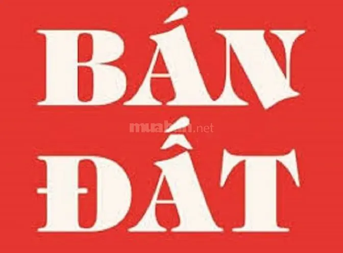 6017662 ảnh đại diện 1