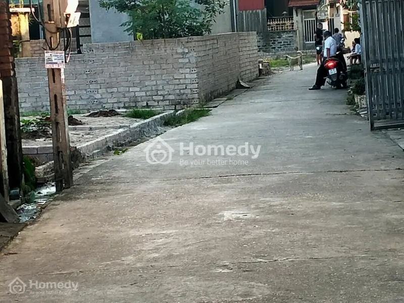 6017775 ảnh đại diện 1