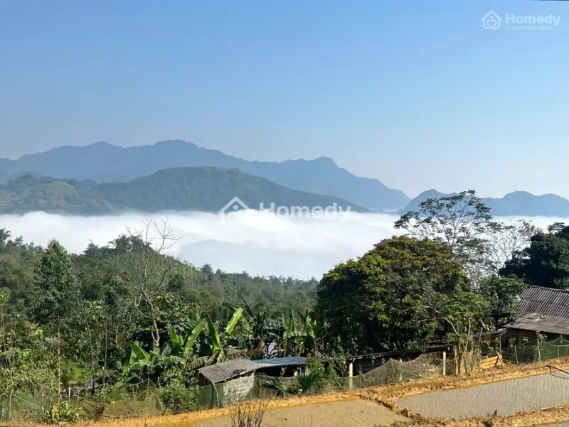 6017739 ảnh đại diện 1
