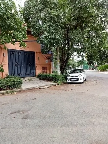 6017882 ảnh đại diện 1