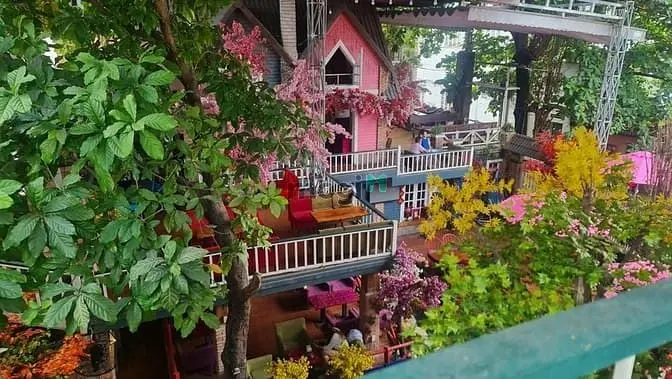 6017150 ảnh đại diện 1