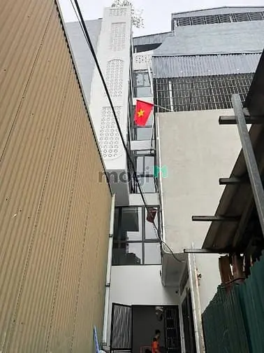 6016949 ảnh đại diện 1