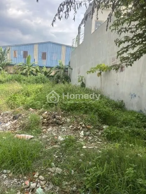 6017071 ảnh đại diện 1