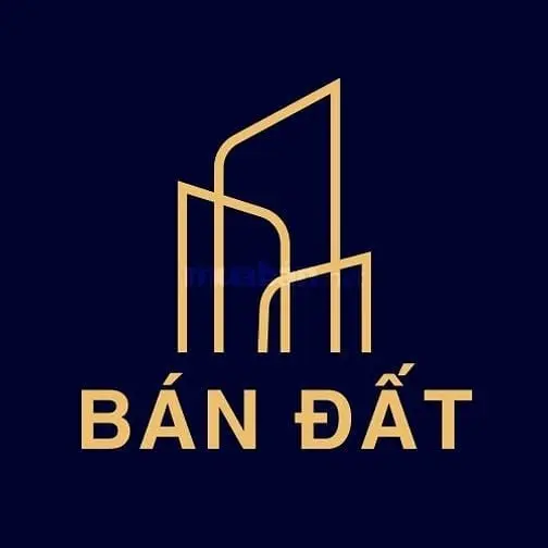 6017250 ảnh đại diện 1
