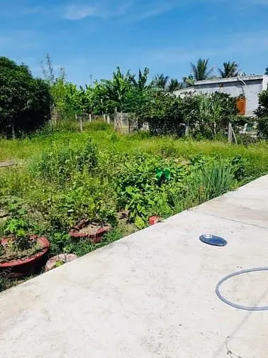 6018096 ảnh đại diện 1