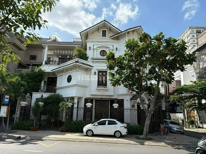6018268 ảnh đại diện 1