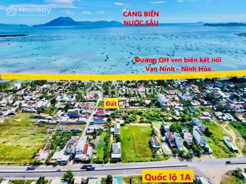 6018041 ảnh đại diện 1