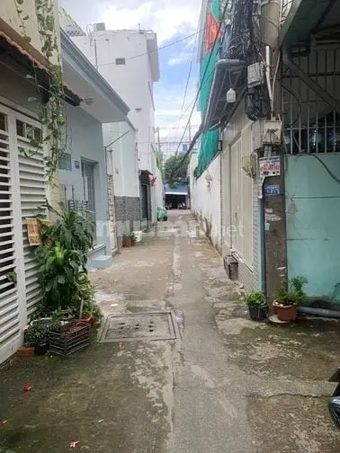 6018335 ảnh đại diện 1