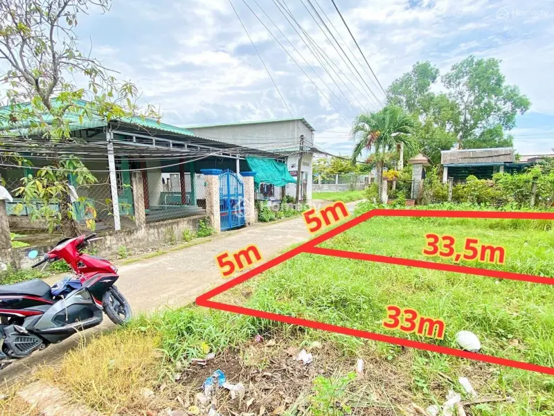 6018436 ảnh đại diện 1