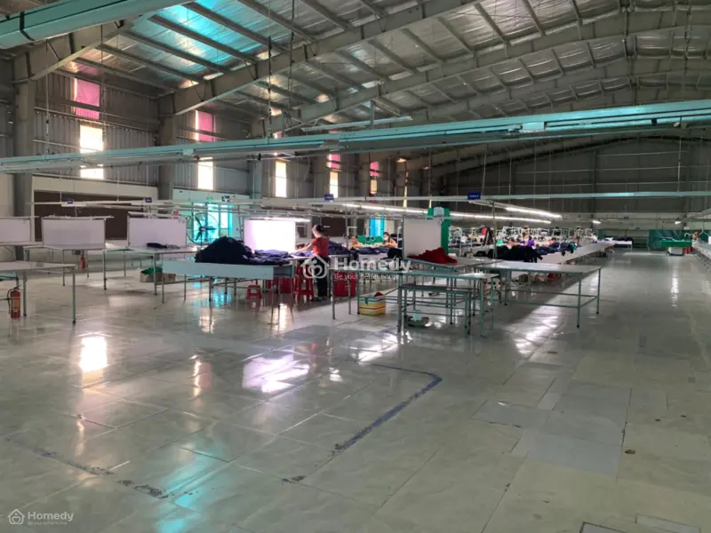 6018003 ảnh đại diện 1