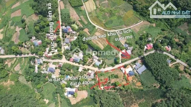 6018008 ảnh đại diện 1