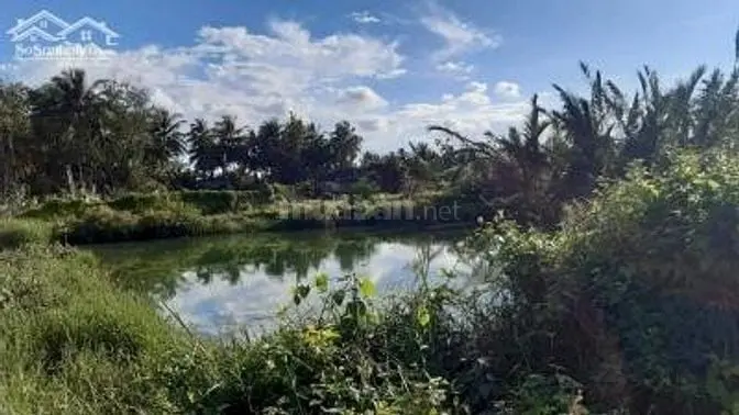 Vị Trí Cực Đẹp, Thỏa Mãn Mọi Nhu Cầu _ Không Gian Sống Lí Tưởng Tại Tp