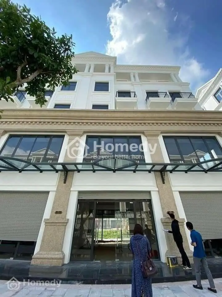 6017965 ảnh đại diện 1