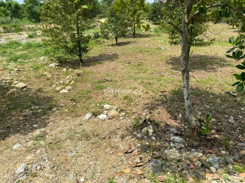 6018368 ảnh đại diện 1