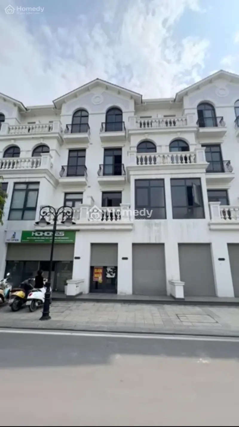 6017979 ảnh đại diện 1