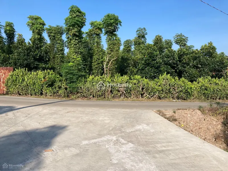 6018373 ảnh đại diện 1