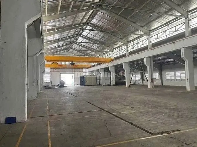 6018258 ảnh đại diện 1