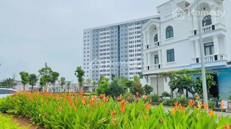 6018359 ảnh đại diện 1